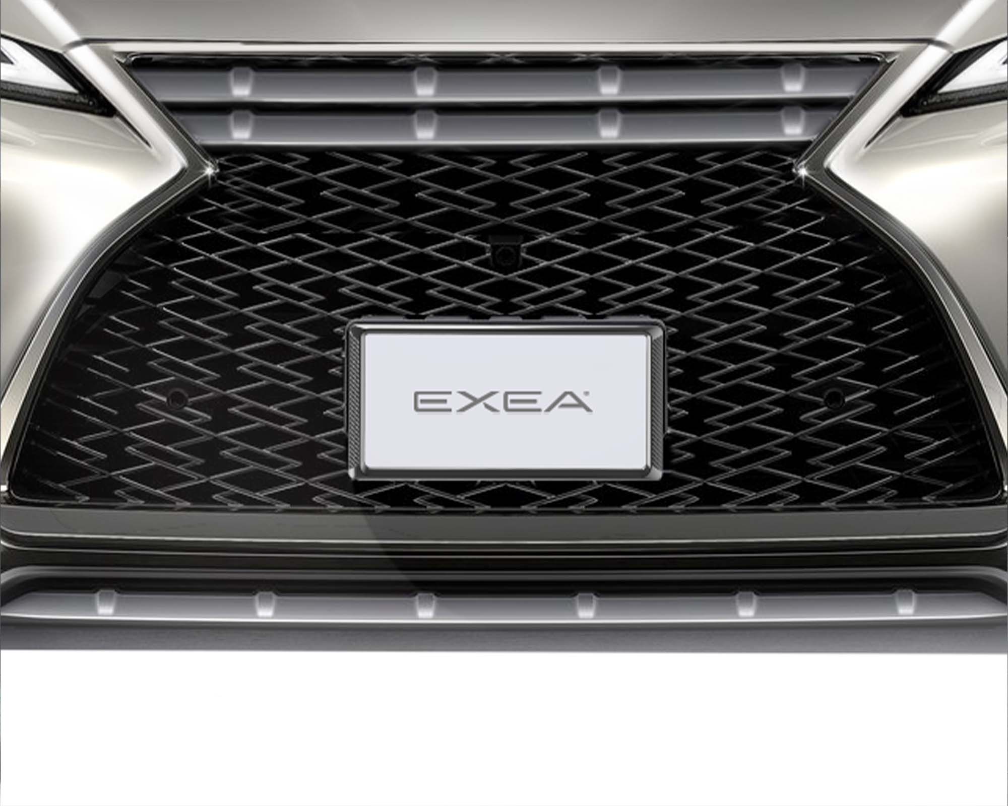 タフネスボルトワッシャー BK EX-212  ナンバーボルト EXEA エクセア  １着でも送料無料 星光産業 車外用品
